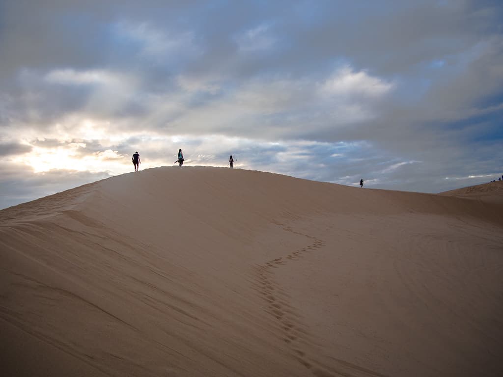 Afternoon Desert Safari (No Camp)