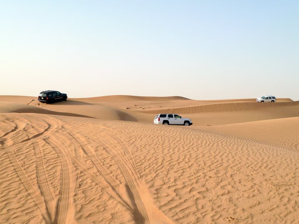 Shared Desert Safari